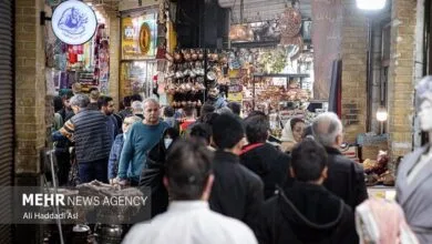 دولت باید نگاه تنظیمگری ساختاری به بازار داشته باشد