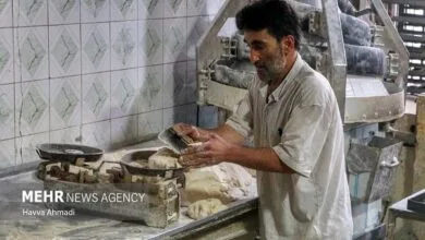 رئیس اتاق اصناف: هیچ نانوایی حق گران‌فروشی ندارد؛ نرخ‌ها مشخص است