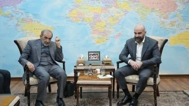 ولایتی: عراق همواره جایگاه ویژه‌ای در روابط ایران داشته است